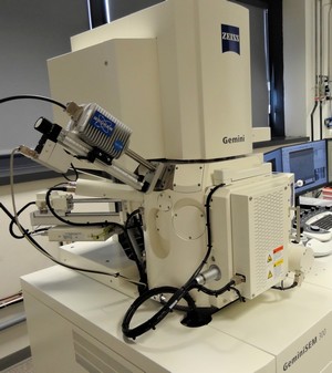 CMTC-LMGP - GeminiSEM 300