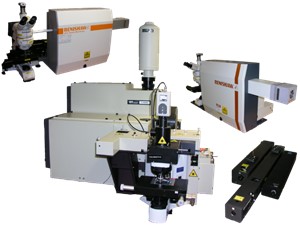 Raman